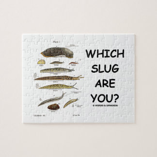 Welche Schnecke sind Sie? (Verschiedene Arten der Puzzle