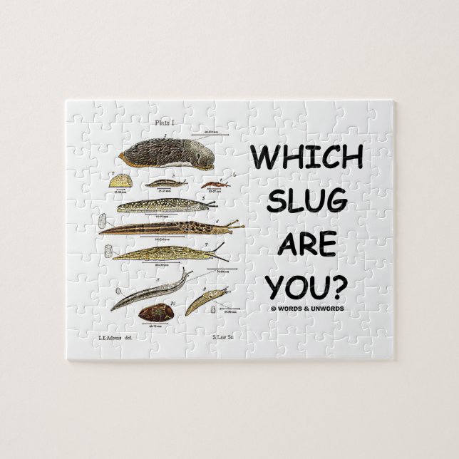 Welche Schnecke sind Sie? (Verschiedene Arten der Puzzle (Horizontal)