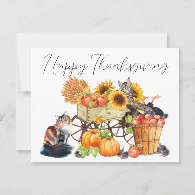 Welche Türkei? Einladung von unschuldigen Katzen E (Vorderseite)