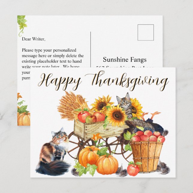 Welche Türkei? Unschuldige Katzen, glückliches Ern Postkarte (Vorne/Hinten)