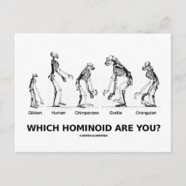 Welcher Hominoid bist du? (Hominid Skelette) Postkarte