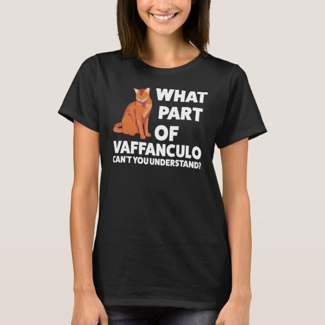 Welcher Teil des vaffanculo Italienisch Italien Va T-Shirt (Vorderseite)