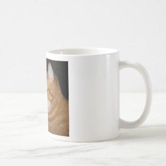 Welches Teil "Meow" nicht Sie verstehen Kaffeetasse