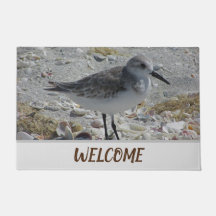 Welcome Beach House Coast Animal Foto Shore Bird