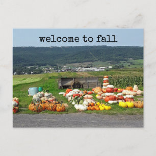 Welcome to fall Pumpkin farm Postcard Postkarte