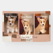 Welcome Zuhause New Puppy, Welpendusche