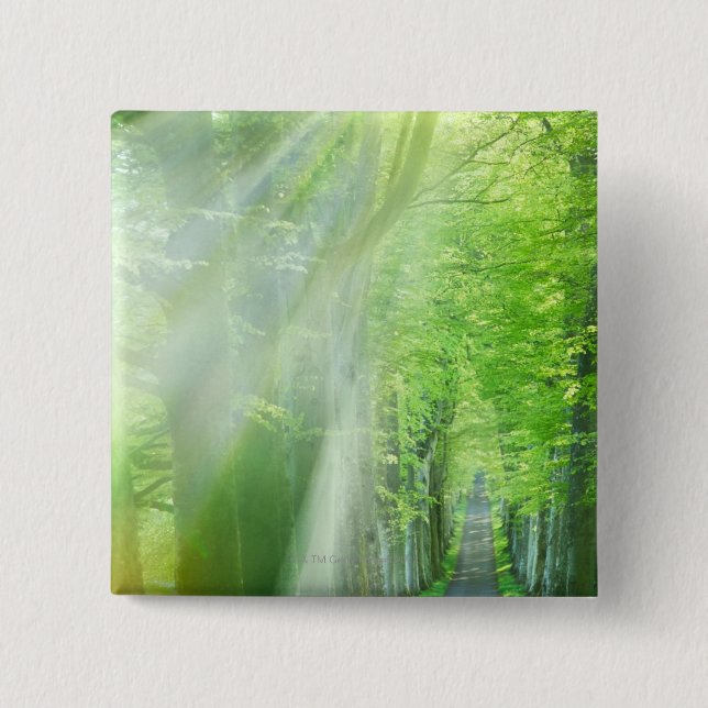 Wellen des Sonnenlichts Button (Vorderseite)