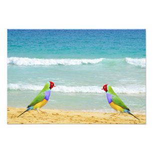 Wellen, Himmel und Surfen am Strand Fotodruck