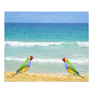 Wellen, Himmel und Surfen am Strand Fotodruck