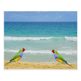 Wellen, Himmel und Surfen am Strand von Boa Vista Poster