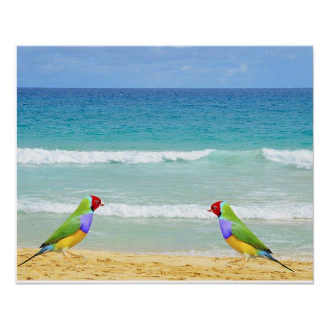 Wellen, Himmel und Surfen am Strand von Boa Vista Poster (Vorderseite)