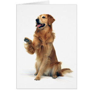 Wellenartig bewegendes golden retriever