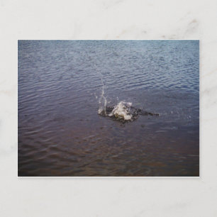 Wellenbrecher in einem See, von einem Fisch spring Postkarte