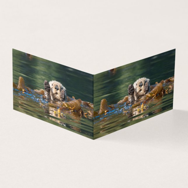 Wellenseeotter (Vorderseite)