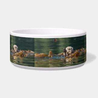 Wellenseeotter Napf