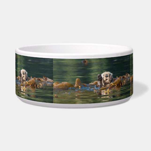 Wellenseeotter Napf (Links)