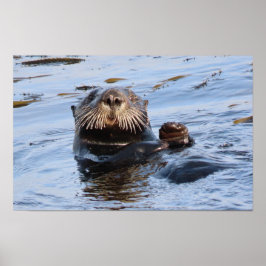 Wellenseeotter Poster