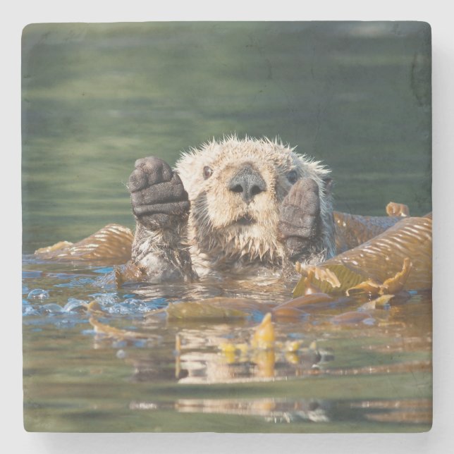 Wellenseeotter Steinuntersetzer (Vorderseite)