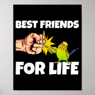 Wellensittich Freunde fürs Leben Sittich Vogel Ges Poster