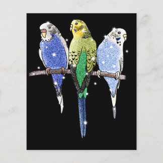 Wellensittich Glitter Flyer