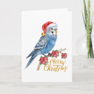 Wellensittich-Weihnachtskarte Feiertagskarte
