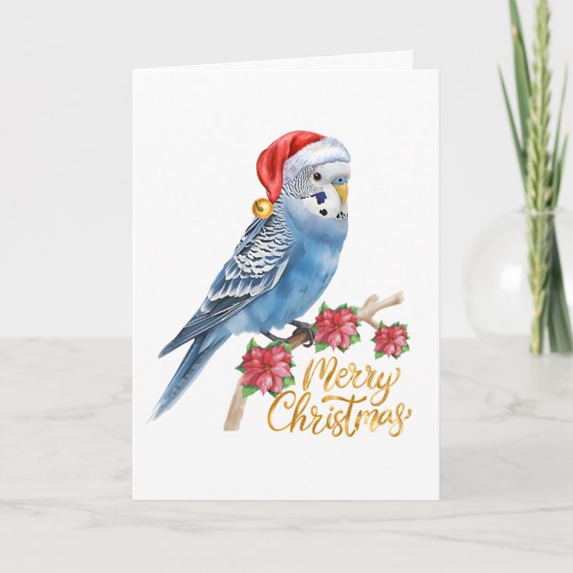 Wellensittich-Weihnachtskarte Feiertagskarte (Vorderseite)