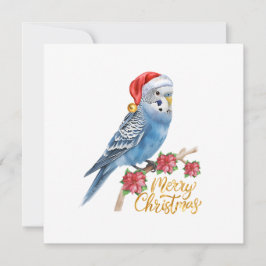 Wellensittich-Weihnachtskarte Feiertagskarte