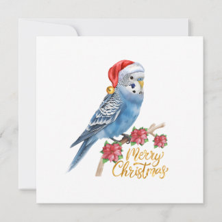 Wellensittich-Weihnachtskarte Feiertagskarte