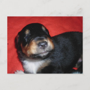Welliges Lächeln Postkarte