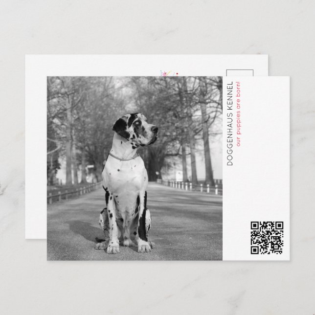 Welligkeitsankündigung Postkarte (Vorne/Hinten)