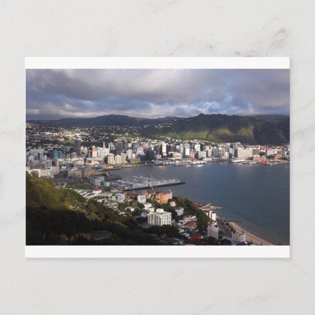 Wellington Harbour, Neuseeland Postkarte (Vorderseite)