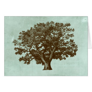 Wellness-Center-Baum IV