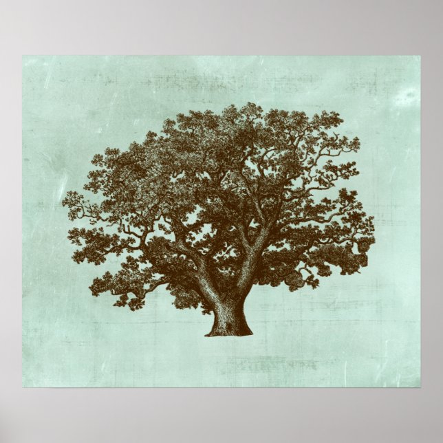 Wellness-Center Tree IV Poster (Vorne)