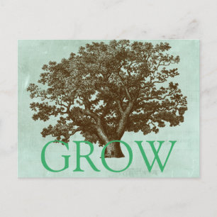 Wellness-Center Tree IV Postkarte