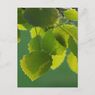 Wellness Postkarte