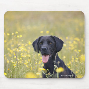 Welpe 16 Monate 2 Mousepad
