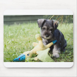 Welpe 2 mini Schnauzer Mousepad