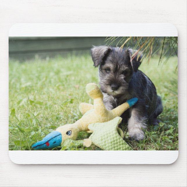 Welpe 2 mini Schnauzer Mousepad (Vorne)