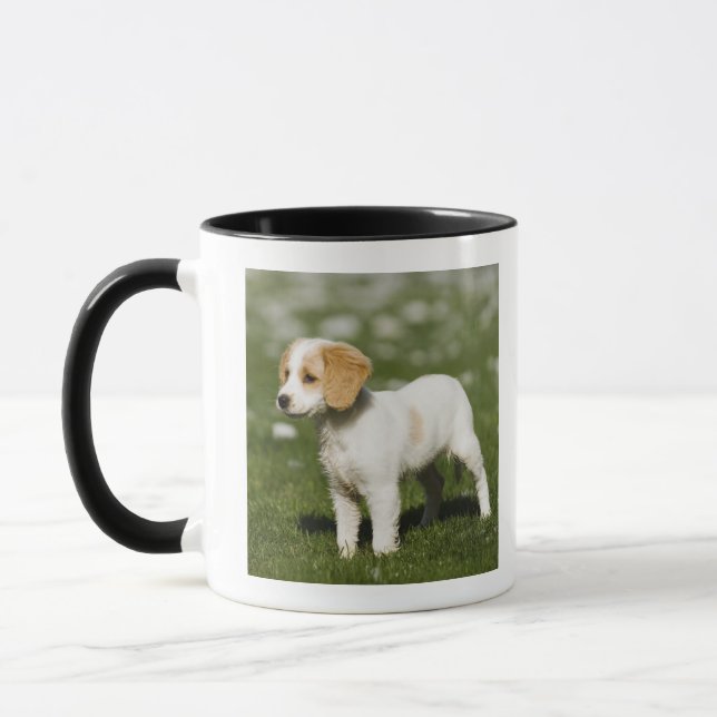 Welpe 3 tasse (Links)