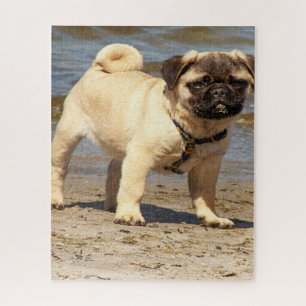 Welpe Baby Puzzle