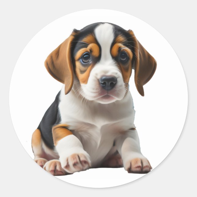 Welpe Beagle Runder Aufkleber (Vorderseite)