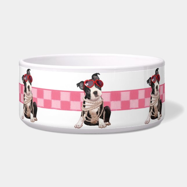 Welpe Bostons Terrier Napf (Vorderseite)