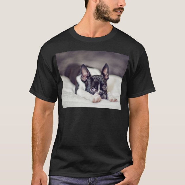 Welpe Bostons Terrier T-Shirt (Vorderseite)