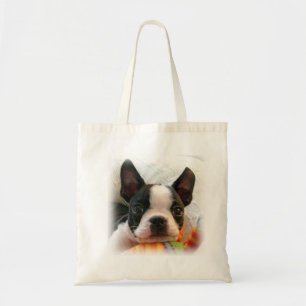 Welpe Bostons Terrier Tragetasche