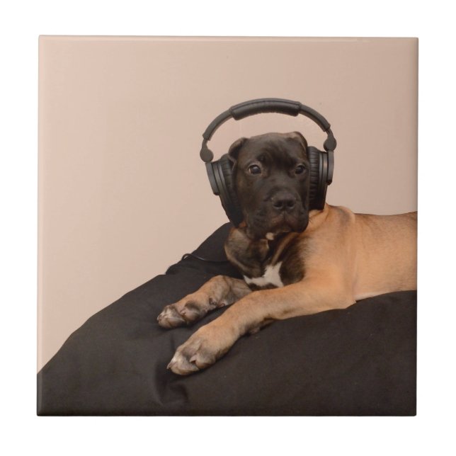 Welpe Bullmastiff Fliese (Vorderseite)
