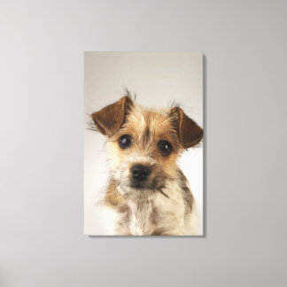 Welpe (Canis familiaris) 2 Leinwanddruck