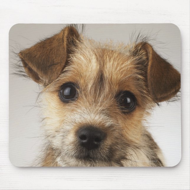 Welpe (Canis familiaris) Mousepad (Vorne)