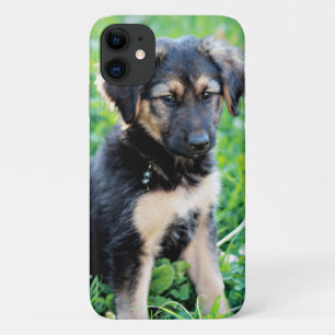 Welpe Case-Mate iPhone Hülle