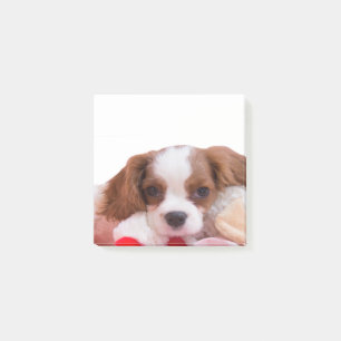 Welpe Cavalier King Charles Spaniel Post-it-Notize Post-it Klebezettel