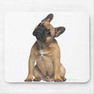 Welpe der französischen Bulldogge (7 Monate alte) Mousepad